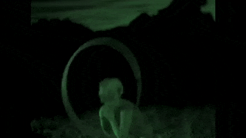 X Files Ufo GIF by Polyvinyl Records