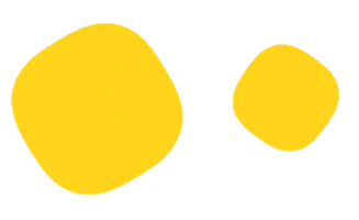 Did You Know Sticker by Fun Idiomas