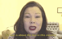 Tammy Duckworth Aapi GIF by GIPHY News