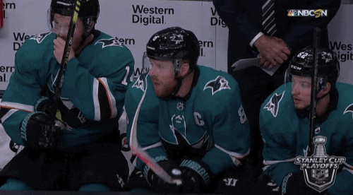 celebrate ice hockey GIF by NHL