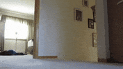 oy GIF