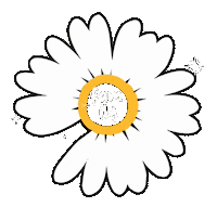 G Dragon Gd Sticker