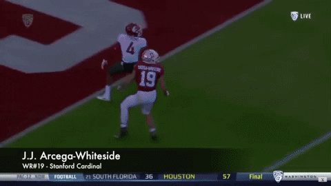 jj arcega-whiteside stanford GIF