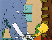 season 5 GIF
