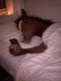 Horse GIF