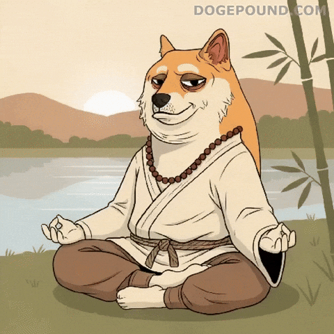 Relaxed Shiba Inu GIF by Doge Pound