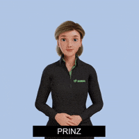 Avatar Gebärdensprache GIF by Sign Time - SiMAX