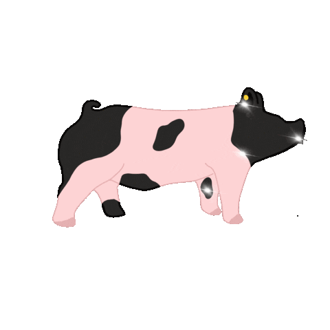 nestatefair giphyupload pig fair ne Sticker