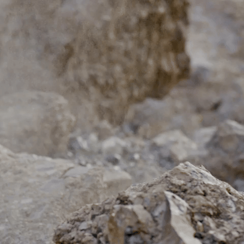 ¡Arriba los Niners!