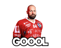 hddjesenice red gol steelers hokej Sticker