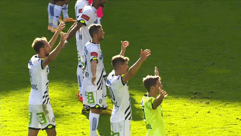 Team Spirit Win GIF by SK Sturm Graz