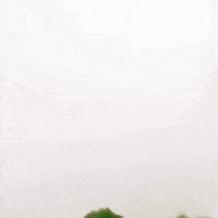 rÃ¡dio popular GIF by QAP