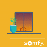 Sterne Smarthome GIF by Somfy