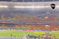 Nilton Santos Libertadores GIF