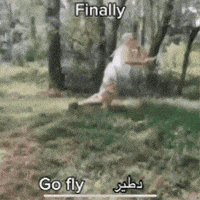 Iraq GIF