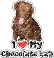 chocolate STICKER