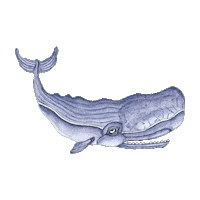 water swimming Sticker by Lakor Soulwear