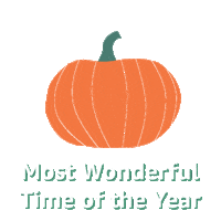 Most Wonderful Time Of The Year Snow Sticker by Amazon