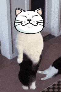 Dance GIF by ShiroNeko