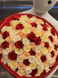 Heart Love GIF by 1X Technologies