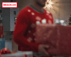 Merry Christmas GIF by BRACK.CH AG