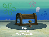 season 4 GIF by SpongeBob SquarePants