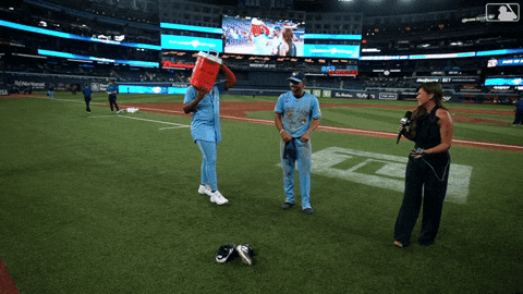 Blue Jays Baseball GIF by Toronto Blue Jays