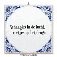 Nl Hoop GIF by Tegelspreuken.nl
