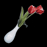 vidantaworld cirque du soleil Ludo vidanta vidantaworld GIF