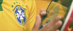 selecao brasileira futebol GIF
