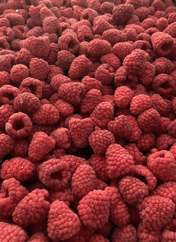 EqualFood giphyupload raspberries equalfood makeallfoodcount GIF
