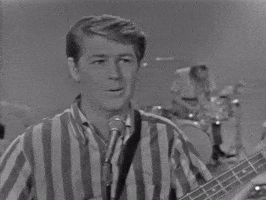 The Beach Boys GIF