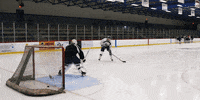 LawrenceUni celebration hockey celly lawrence university GIF