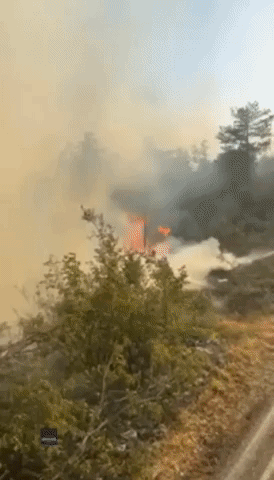 Firefighters Battle Kras Fire Blaze in Southwestern Slovenia