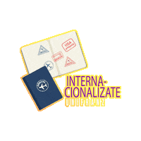 Travel Viaje Sticker by UNIFRANZ