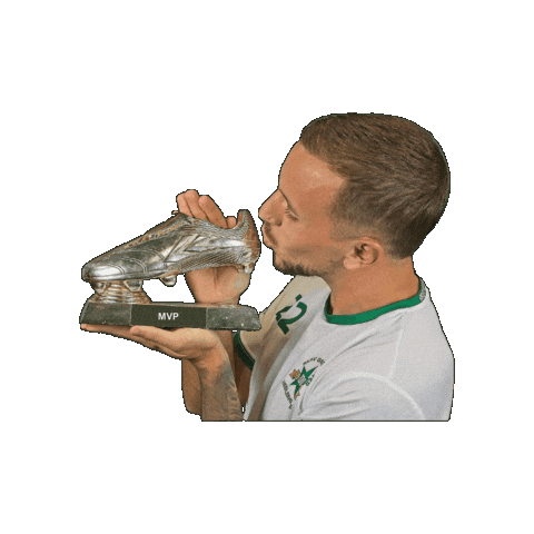 Sport Heerlen Sticker by Groene ster