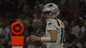 Football Nfl GIF by New England Patriots
