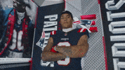 Football Nfl GIF by New England Patriots