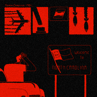 North Carolina Fox GIF by gifnews