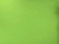 SissiStatePunks no ssp sspgg sissistate GIF
