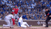 Regular Season Sport GIF by MLB