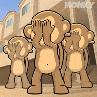 Happy Good Vibes GIF by Wise Monkey Meme