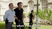 Steve Mcgarrett Tani Rey GIF by CBS