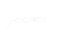 qsick snake qsick sports brand Sticker