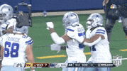 Dallas Cowboys Football GIF by NFL