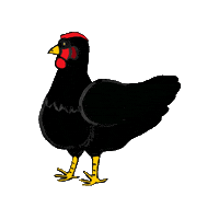 Huhn Sticker