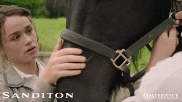 Horse Whisperer Love GIF by MASTERPIECE | PBS