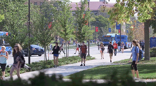 college life school GIF by University of Kansas