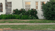Super Hero Disney GIF by Marvel Studios