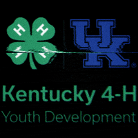 4-H GIF by kentucky4h
